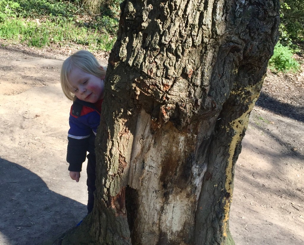 Hide and seek at Pudney wood in Clacton