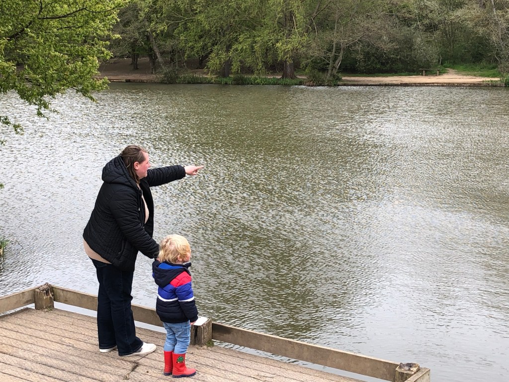 Looking out into a huge duck pond