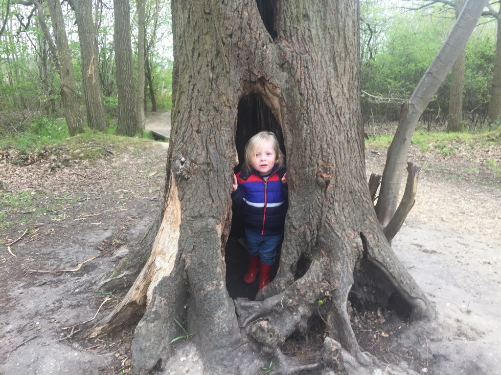 My Son hiding in a tree