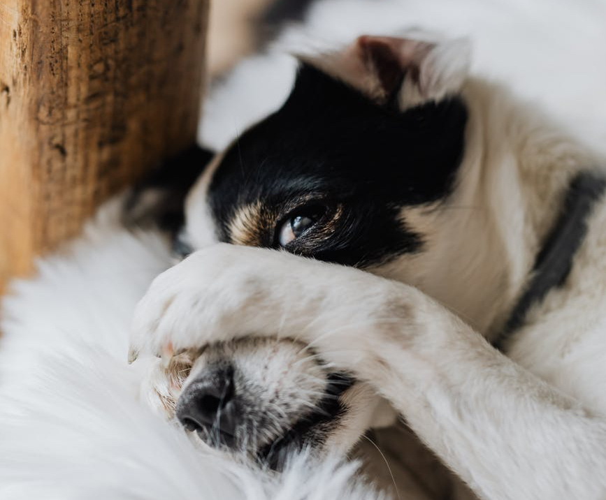 Freedom – It’s all a bit overrated